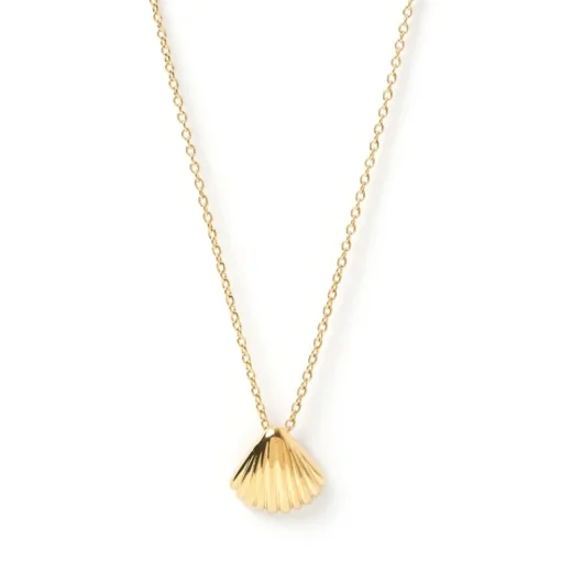 Women Arms Of Eve - Perla Gold Shell Necklace
