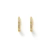 Women Arms Of Eve - PHOEBE HUGGIE EARRINGS (STONE)