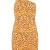 Faithfull The Brand - Terre Mer Mini Dress (Li Reni Floral Print Orange)