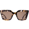 Women Sito Shades - CULT VISION (CHESTNUT TORT / COFFEE)