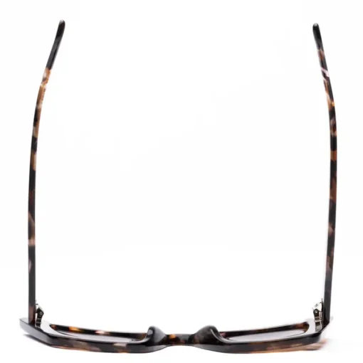 Women Sito Shades - CULT VISION (CHESTNUT TORT / COFFEE)